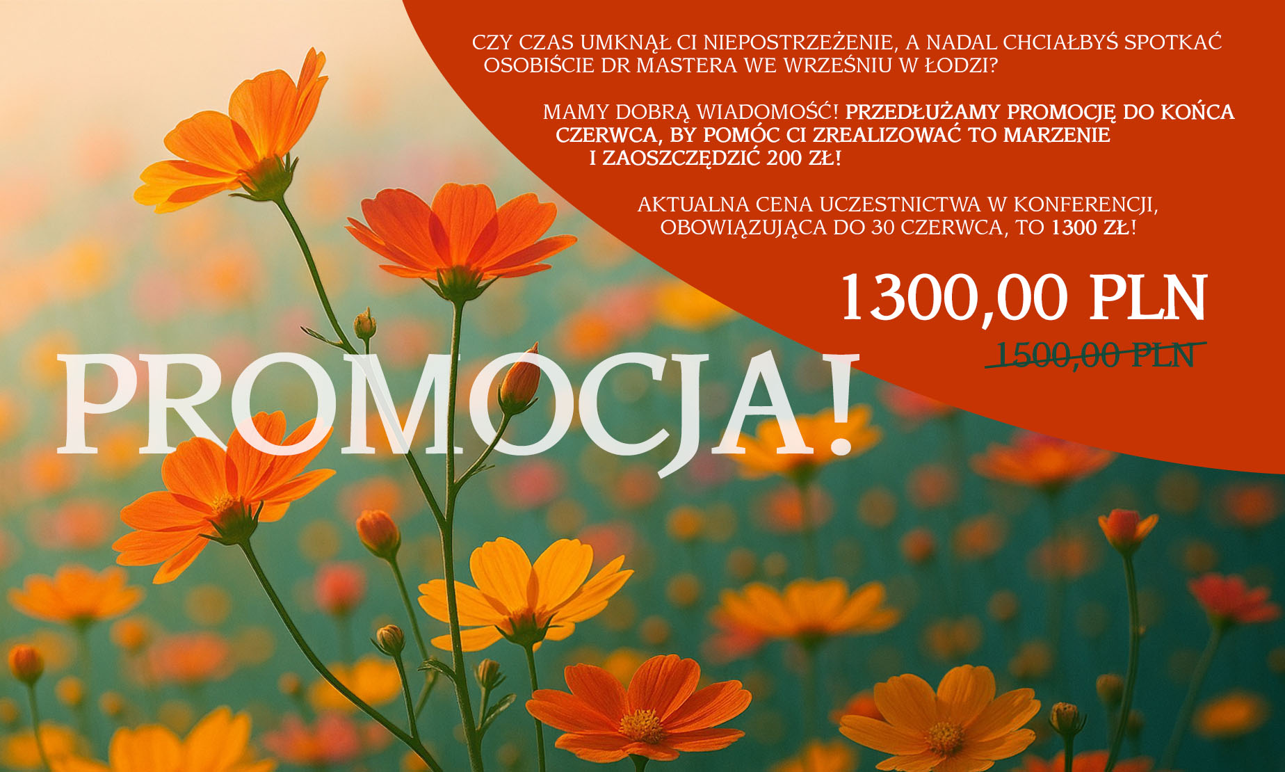 promocja maj v2